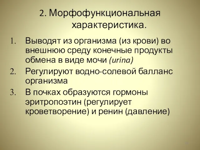 2. Морфофункциональная характеристика. Выводят из организма (из крови) во внешнюю