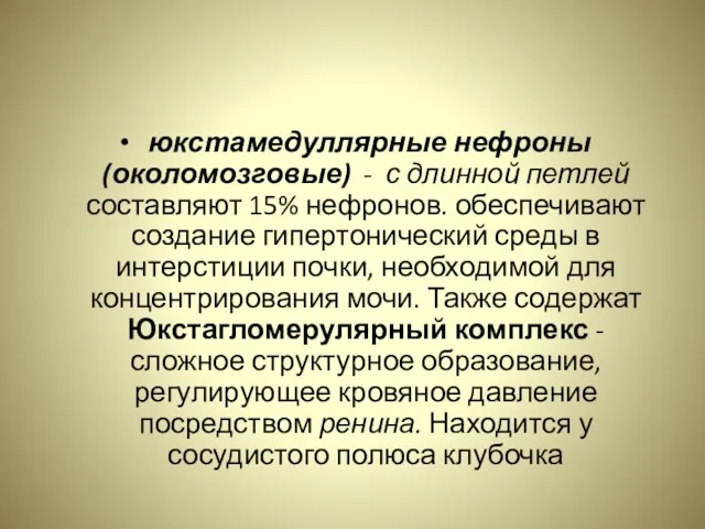 юкстамедуллярные нефроны (околомозговые) - с длинной петлей составляют 15% нефронов.