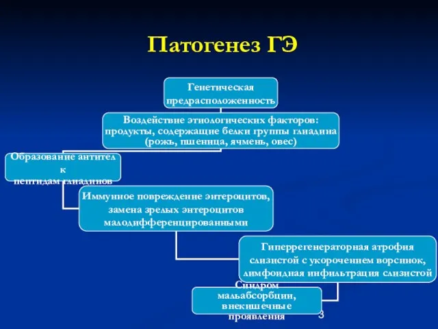 Патогенез ГЭ