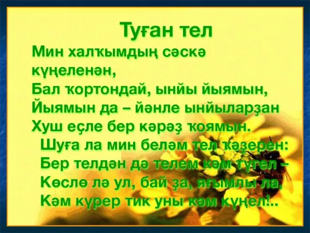 Туған тел Мин халҡымдың сәскә күңеленән, Бал ҡортондай, ынйы йыямын,