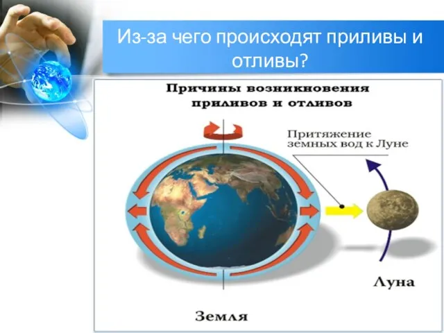 Из-за чего происходят приливы и отливы?