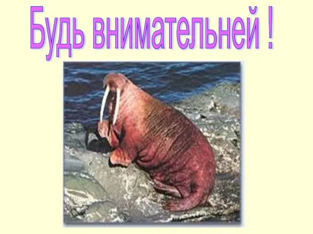 Будь внимательней !