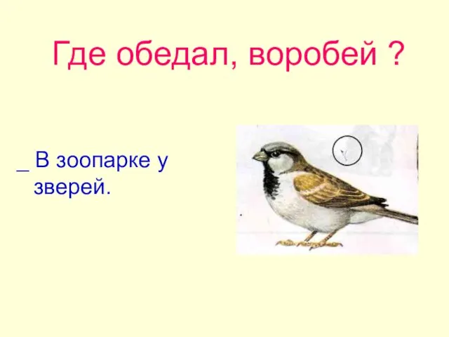 Где обедал, воробей ? _ В зоопарке у зверей.