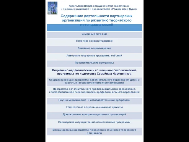 Содержание деятельности партнерских организаций по развитию творческого потенциала семей Карельская