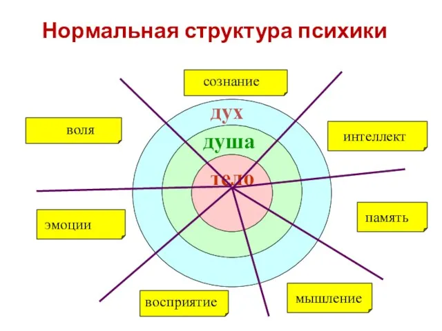 Нормальная структура психики дух душа тело ввволя эмоции сознание интеллект память мышление восприятие