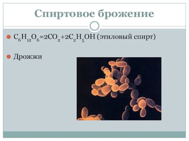 Спиртовое брожение С6Н12О6=2СО2+2С2Н5ОН (этиловый спирт) Дрожжи