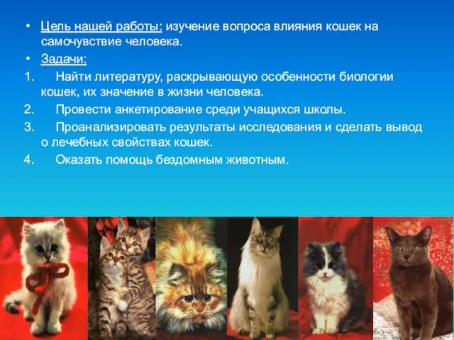 Цель нашей работы: изучение вопроса влияния кошек на самочувствие человека.
