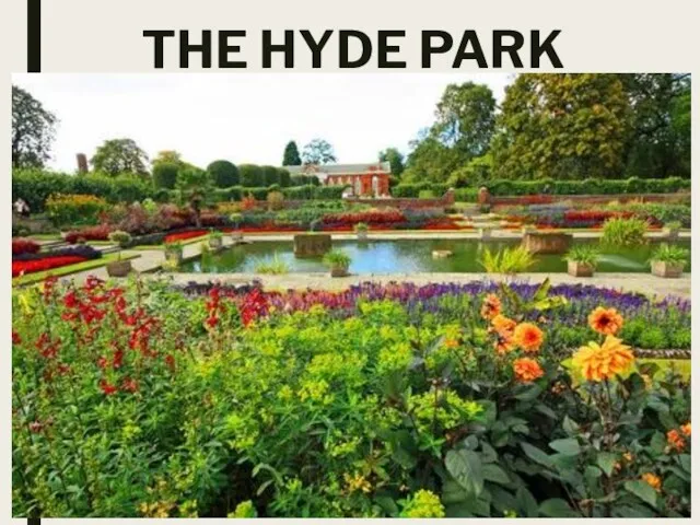 THE HYDE PARK
