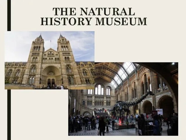 THE NATURAL HISTORY MUSEUM