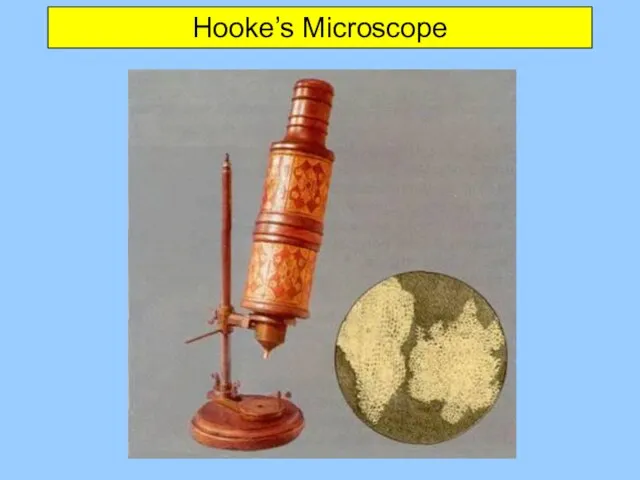 Hooke’s Microscope