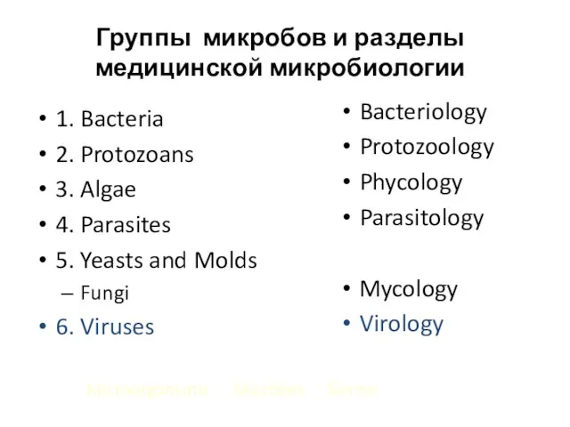 Группы микробов и разделы медицинской микробиологии 1. Bacteria 2. Protozoans
