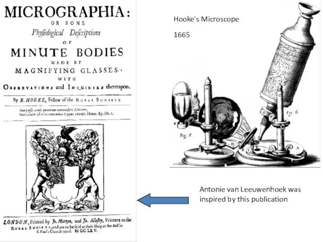 Hooke's Microscope 1665 Antonie van Leeuwenhoek was inspired by this publication