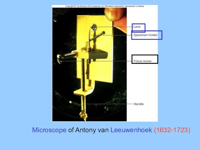 Microscope of Antony van Leeuwenhoek (1632-1723)