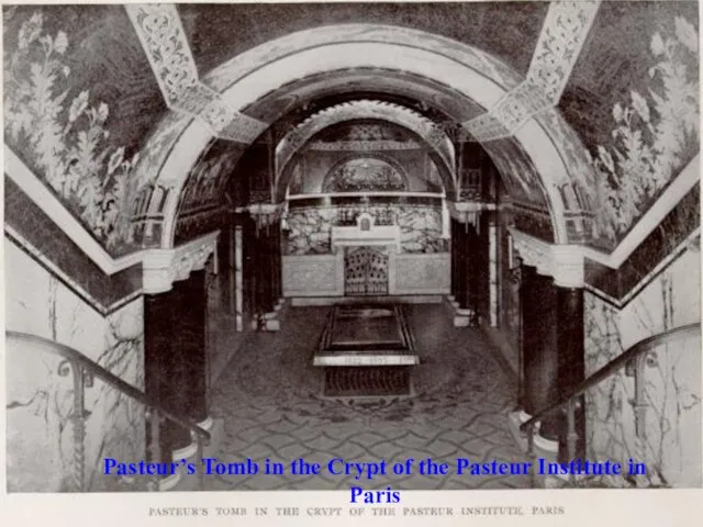Pasteur’s Tomb in the Crypt of the Pasteur Institute in Paris