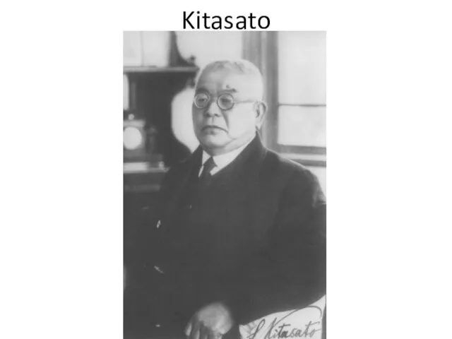 Kitasato