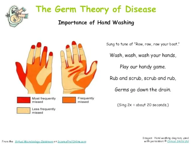The Germ Theory of Disease Importance of Hand Washing Images: