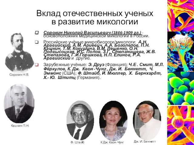 Вклад отечественных ученых в развитие микологии Сорокин Николай Васильевич (1846-1909
