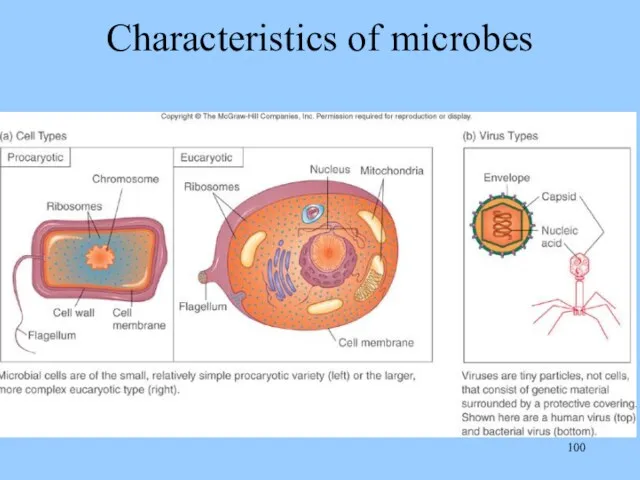 Characteristics of microbes