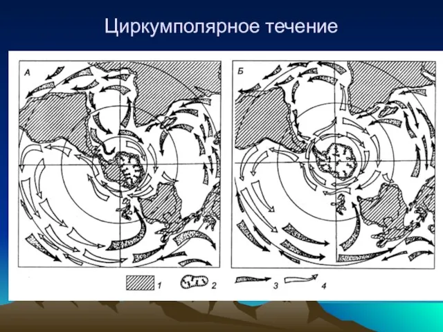 Циркумполярное течение