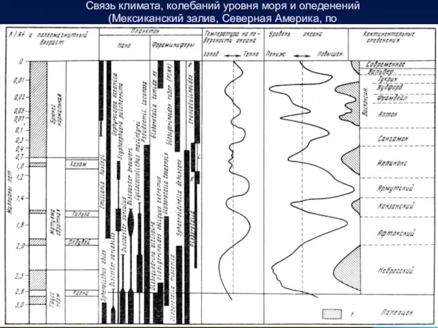 Связь климата, колебаний уровня моря и оледенений (Мексиканский залив, Северная Америка, по