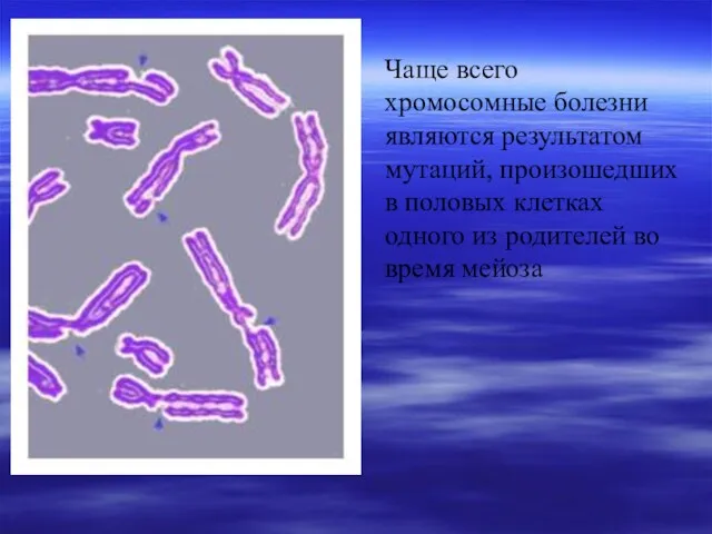 Чаще всего хромосомные болезни являются результатом мутаций, произошедших в половых