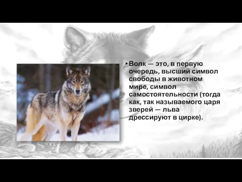 Волк — это, в первую очередь, высший символ свободы в