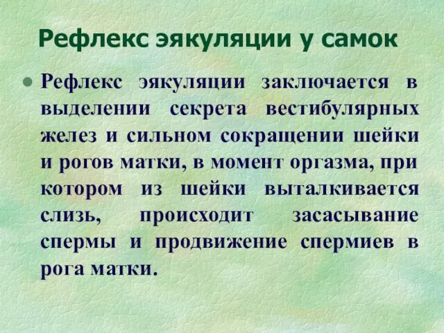 Рефлекс эякуляции у самок Рефлекс эякуляции заключается в выделении секрета