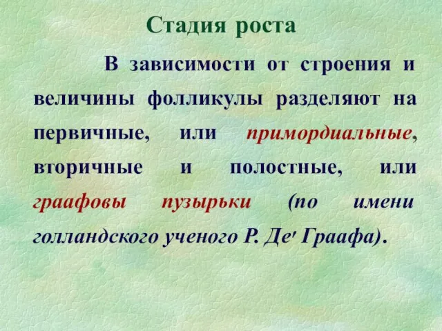 Стадия роста В зависимости от строения и величины фолликулы разделяют на первичные, или