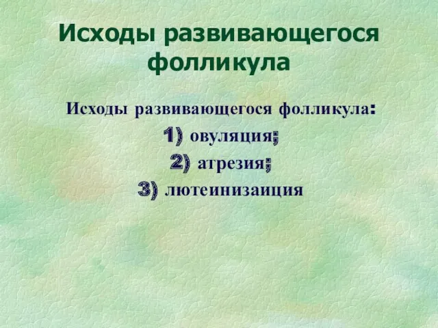 Исходы развивающегося фолликула Исходы развивающегося фолликула: 1) овуляция; 2) атрезия; 3) лютеинизаиция