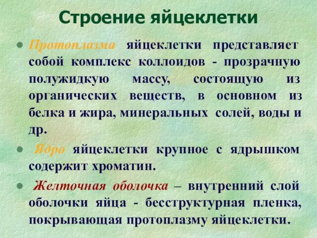 Строение яйцеклетки Протоплазма яйцеклетки представляет собой комплекс коллоидов - прозрачную полужидкую массу, состоящую