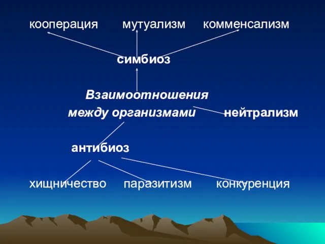 кооперация мутуализм комменсализм симбиоз Взаимоотношения между организмами нейтрализм антибиоз хищничество паразитизм конкуренция