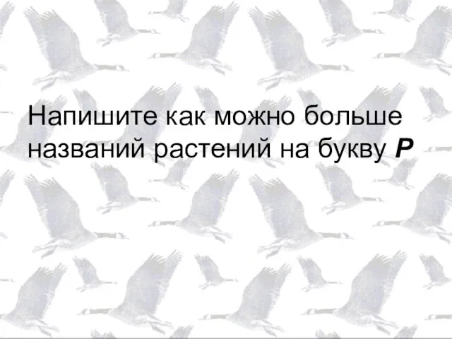 Напишите как можно больше названий растений на букву Р