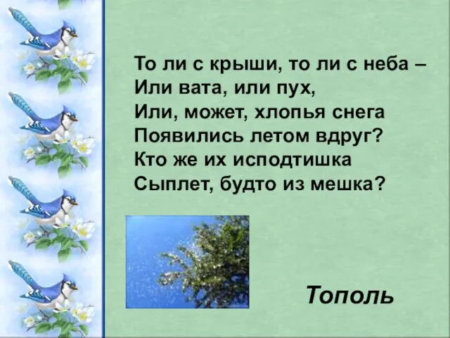 То ли с крыши, то ли с неба – Или