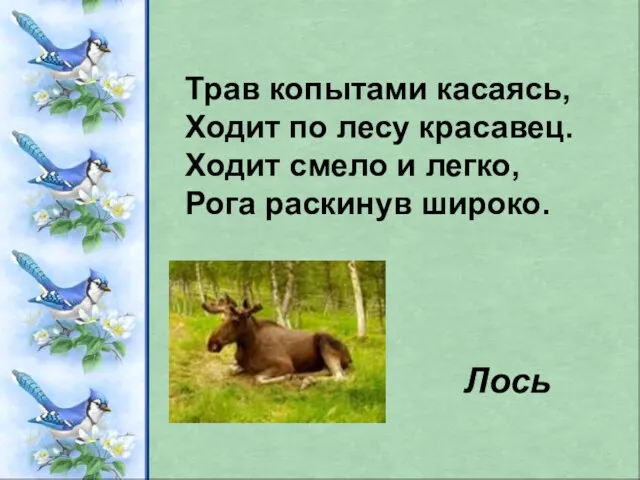 Трав копытами касаясь, Ходит по лесу красавец. Ходит смело и легко, Рога раскинув широко. Лось