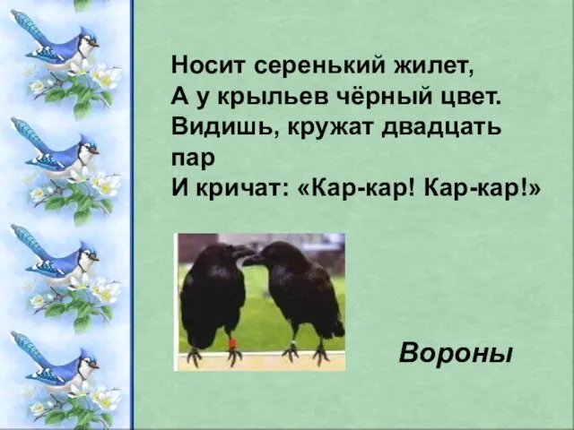 Носит серенький жилет, А у крыльев чёрный цвет. Видишь, кружат