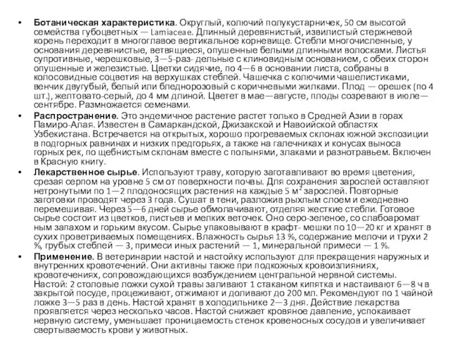 Ботаническая характеристика. Округлый, колючий полукустар­ничек, 50 см высотой семейства губоцветных