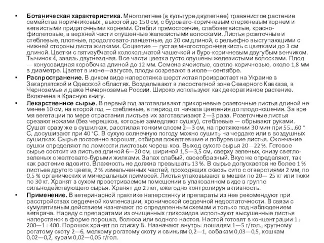 Ботаническая характеристика. Многолетнее (в культуре двулетнее) травянистое растение семейства норичниковых