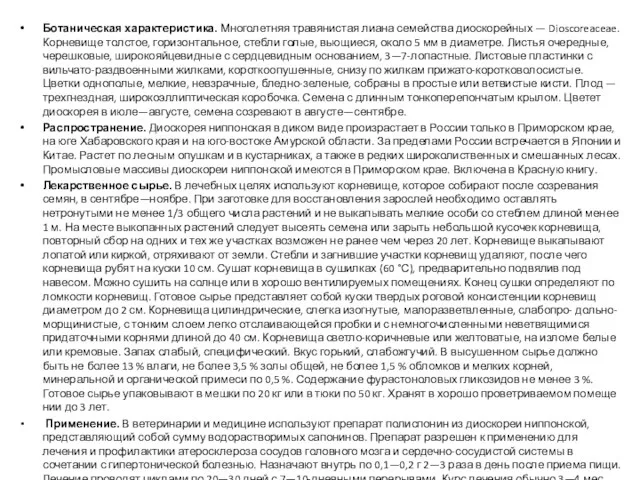 Ботаническая характеристика. Многолетняя травянистая лиана семейства диоскорейных — Dioscoreaceae. Корневище