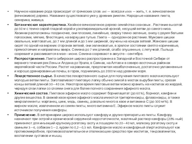 Научное название рода происходит от греческих слов: aei — всегда