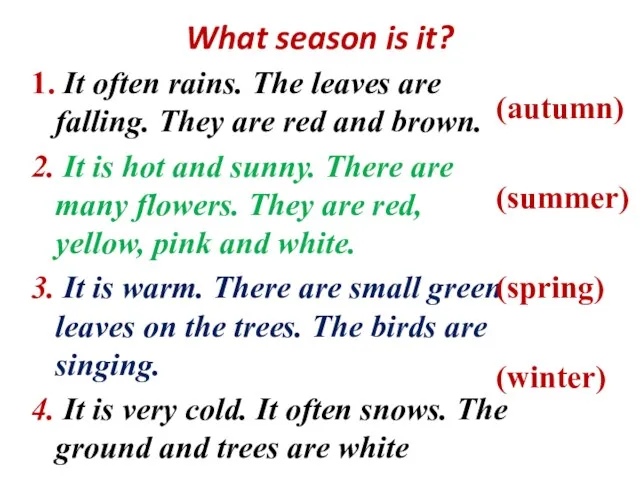 What season is it? 1. It often rains. The leaves