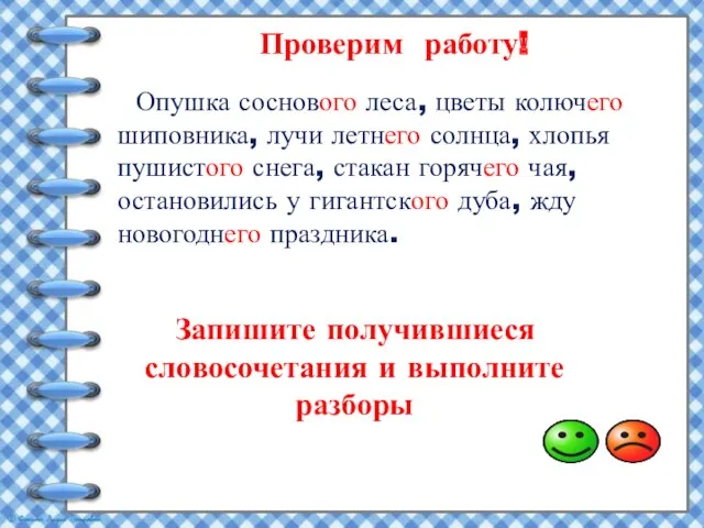 Проверим работу! Опушка соснового леса, цветы колючего шиповника, лучи летнего