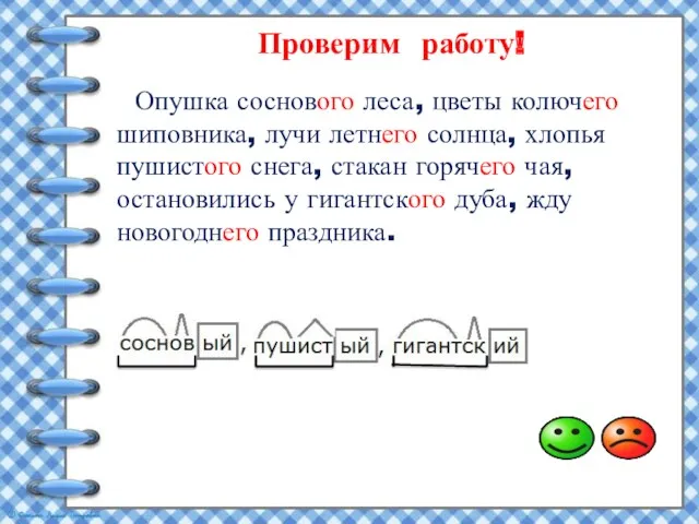 Проверим работу! Опушка соснового леса, цветы колючего шиповника, лучи летнего