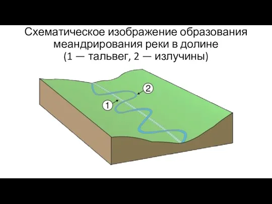 Схематическое изображение образования меандрирования реки в долине (1 — тальвег, 2 — излучины)