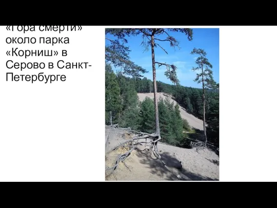 «Гора смерти» около парка «Корниш» в Серово в Санкт-Петербурге