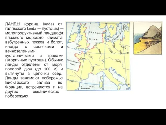 ЛАНДЫ (франц. landes от галльского landa — пустошь) — малопродуктивный ландшафт влажного морского