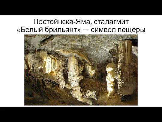 Постойнска-Яма, сталагмит «Белый брильянт» — символ пещеры
