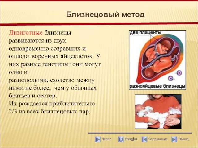 Близнецовый метод Дизиготные близнецы развиваются из двух одновременно созревших и