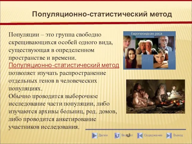 Популяционно-статистический метод Популяции – это группа свободно скрещивающихся особей одного