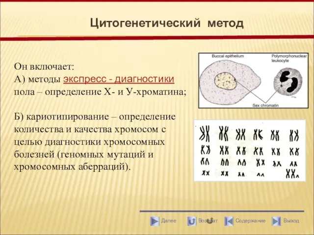 Цитогенетический метод Он включает: А) методы экспресс - диагностики пола