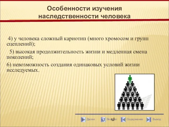 4) у человека сложный кариотип (много хромосом и групп сцеплений);